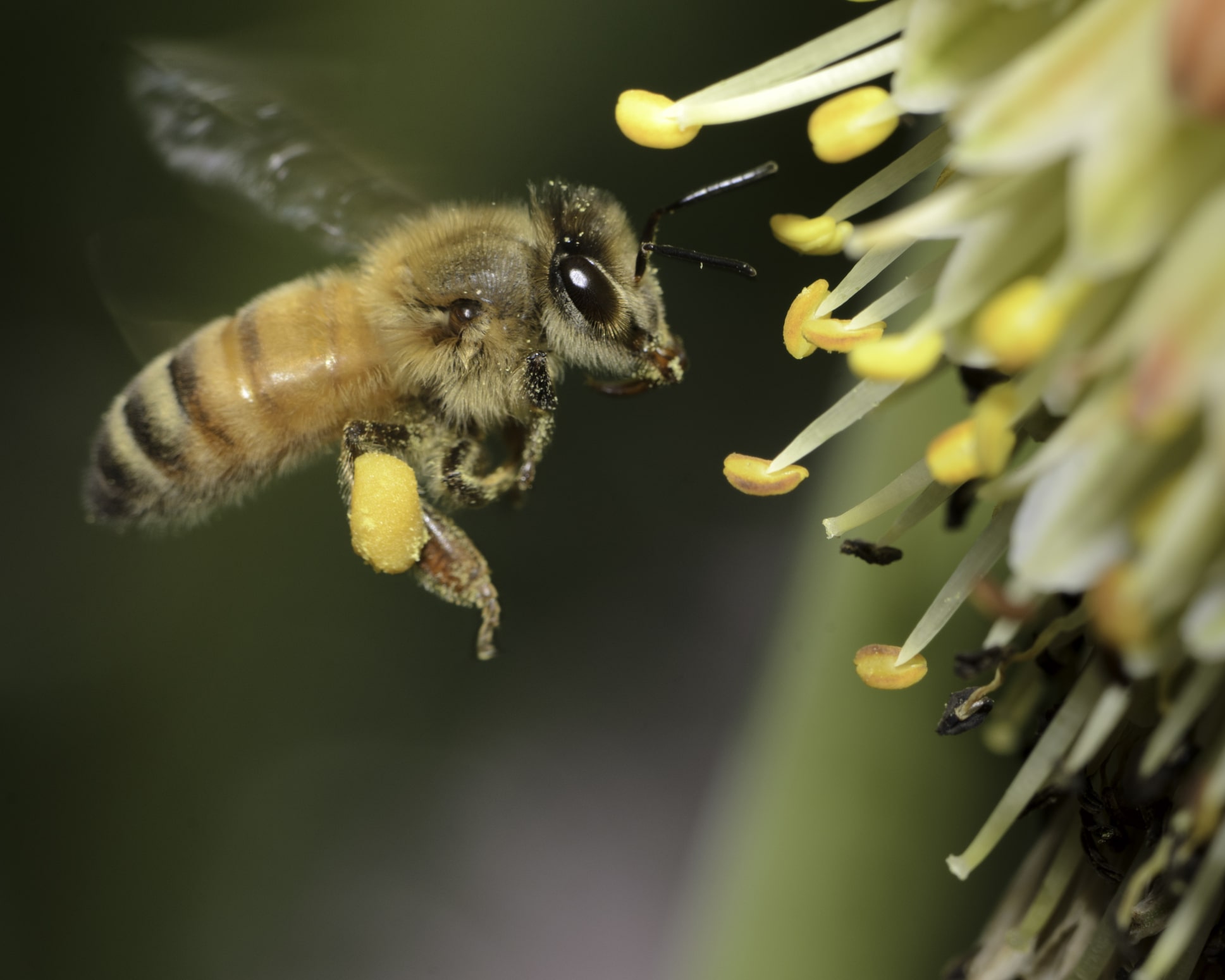 GettyImages_155034243