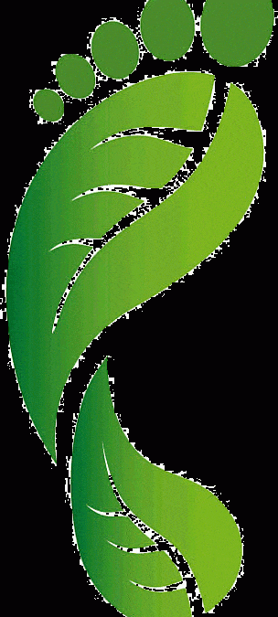 Ecological Footprint