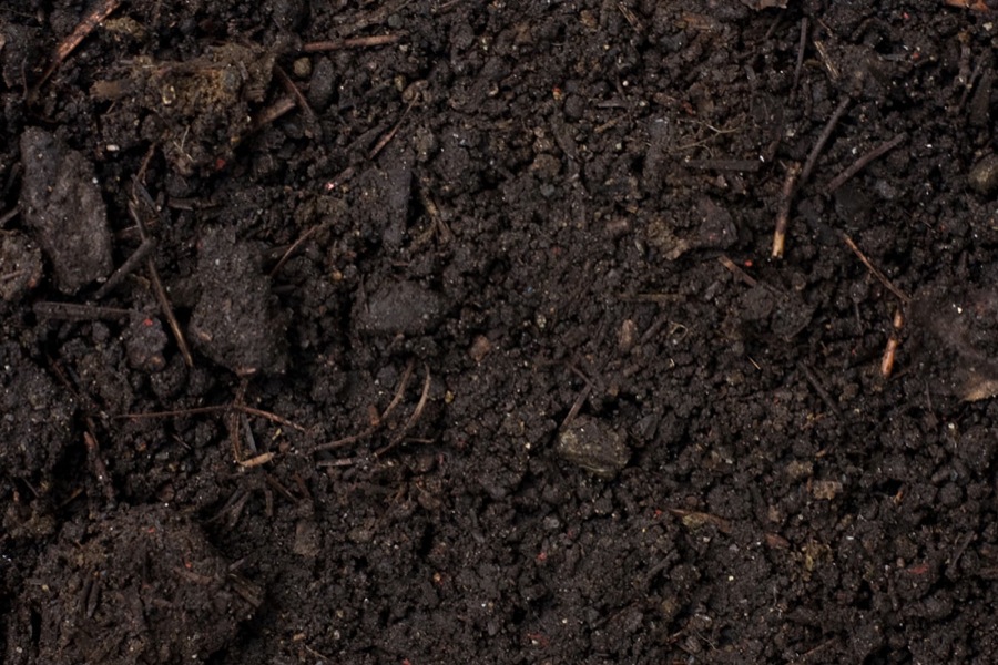 trace_soil_01