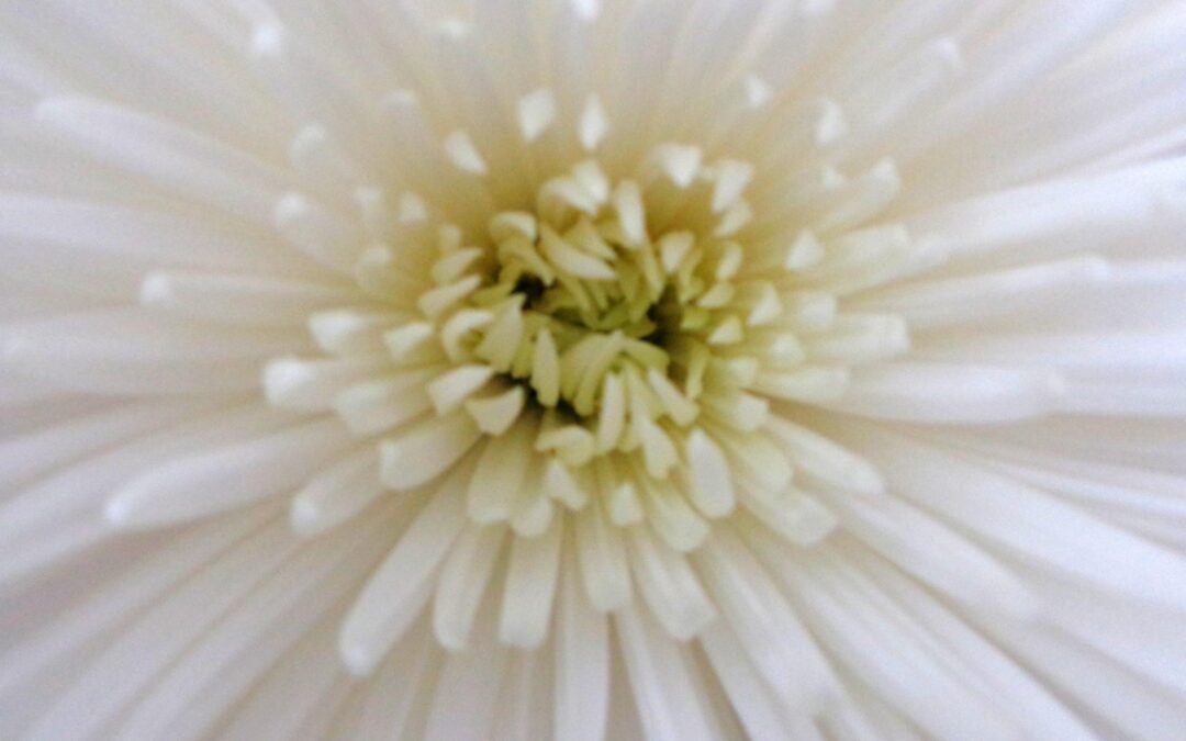 Spring 2015 Newsletter