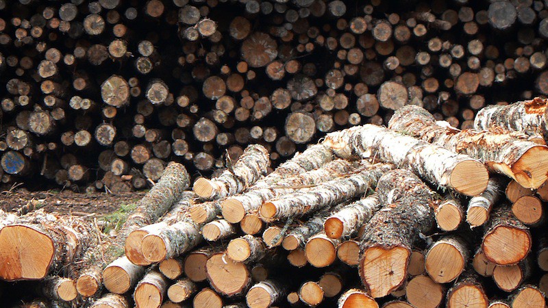 Logs