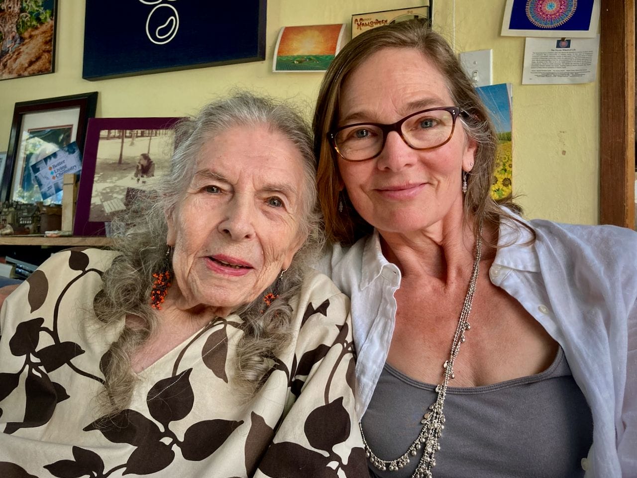 Shulgin Legacy | Ann Shulgin | Synergetic Press Co-publishing Deal with Transform Press