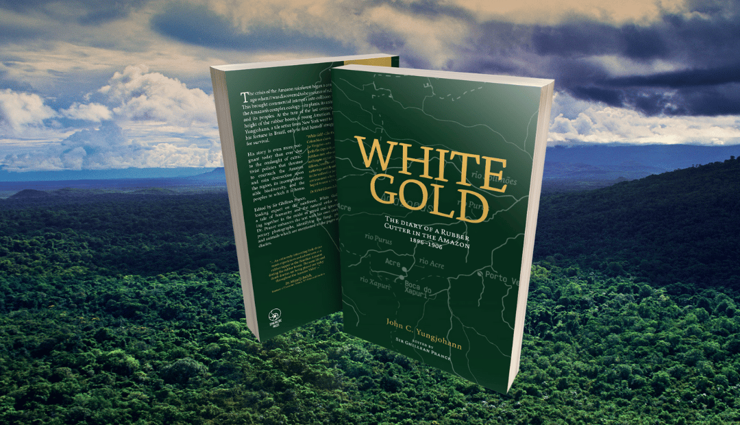 White Gold is Back in Stock