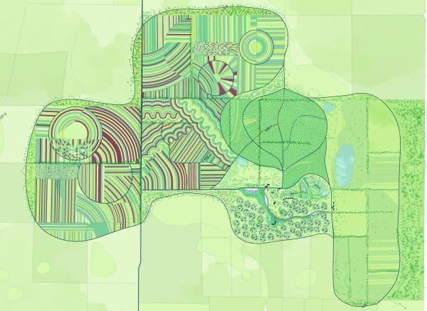 Agroecology and Regenerative Agriculture Cover image by Leticia Pascual