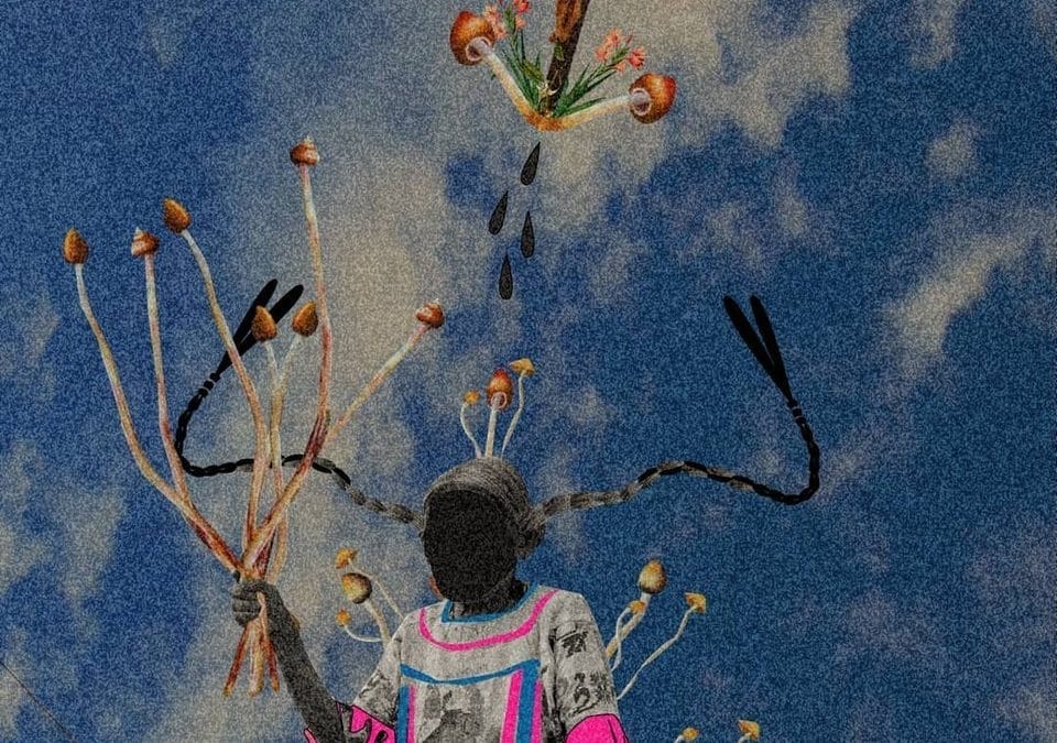 Mazatec Perspectives on the Globalization of Psilocybin Mushrooms