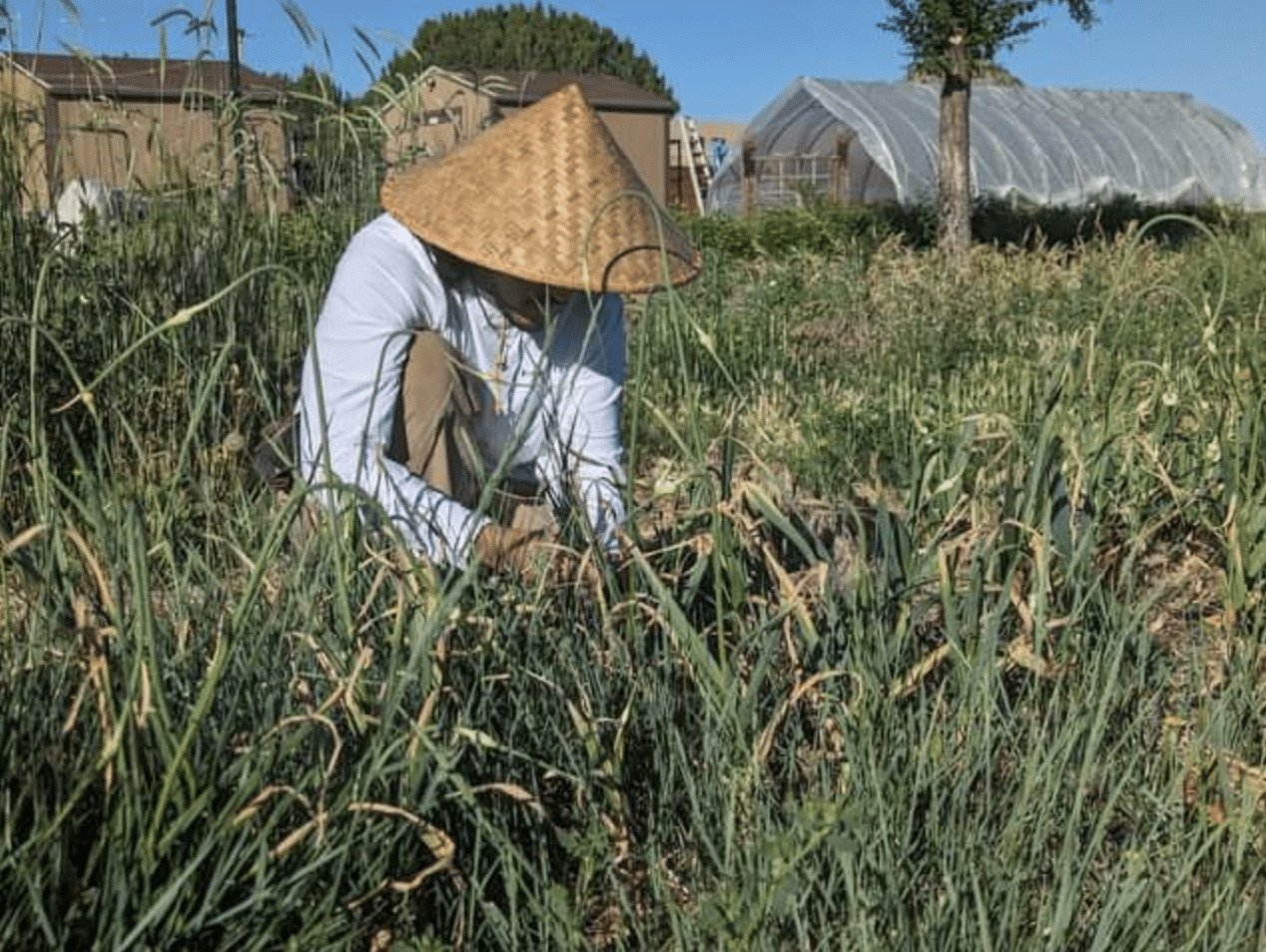 Screenshot 2023-08-23 at 19.33.35