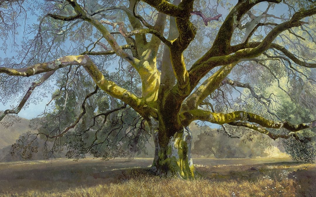 What Trees Can Teach Us About Regeneration