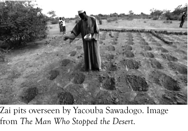 Screenshot 2025-01-29 at 19.54.30