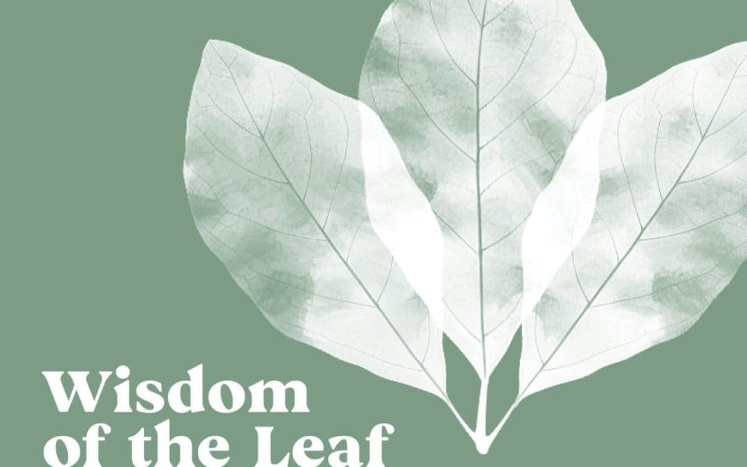 Wisdom of the Leaf: A Visionary Gathering in the Sacred Valley