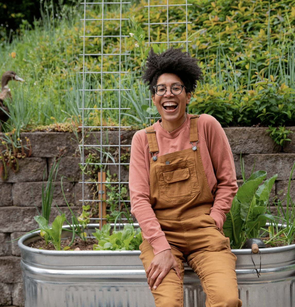 Screenshot 2024-02-20 at 15.37.13