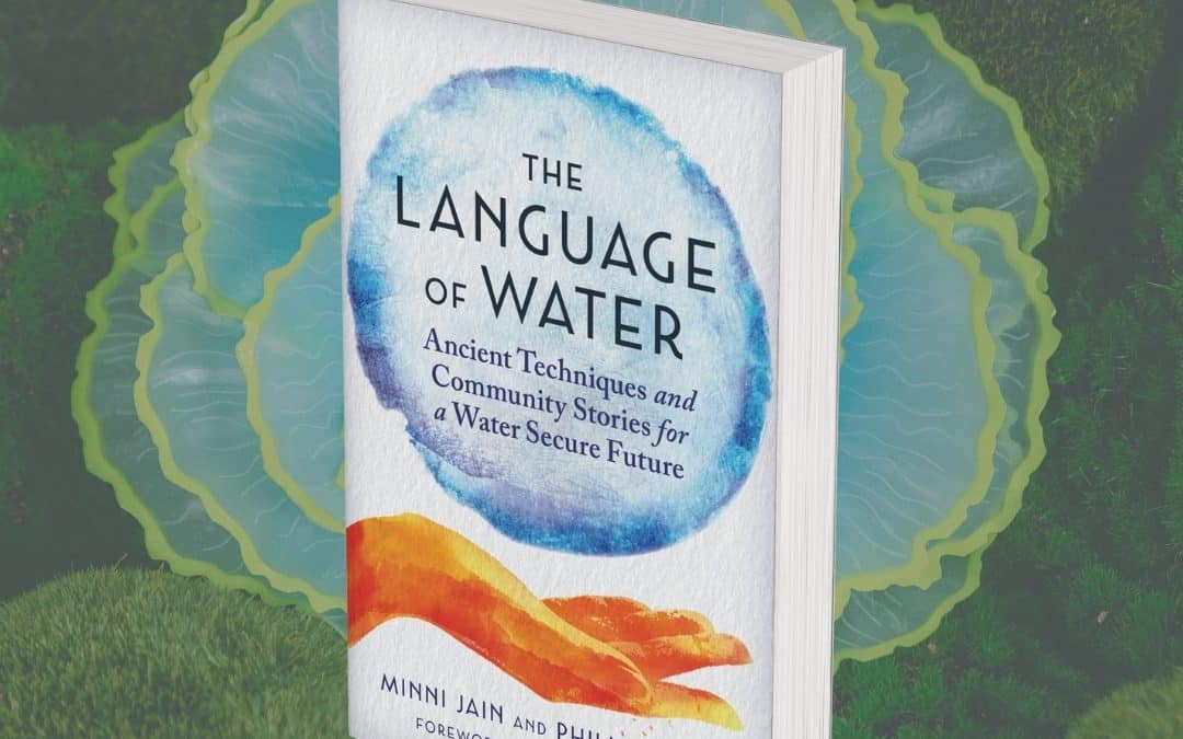 Review of The Language of Water by Kirkus Reviews